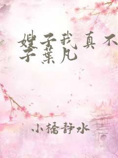 嫂子我真不是傻子叶凡