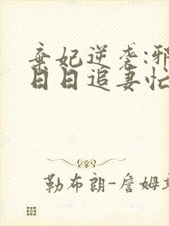 弃妃逆袭:邪王日日追妻忙全本阅读