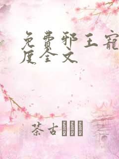 免费邪王宠妻无度全文