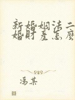 新婚姻法二婚离婚财产怎么分