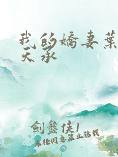 我的娇妻叶晨许天承