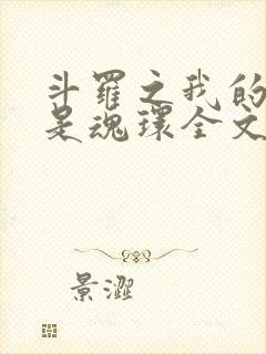 斗罗之我的武魂是魂环全文