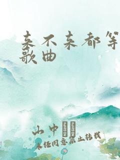 来不来都等你 歌曲