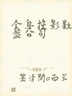 全息投影数字沙盘公司