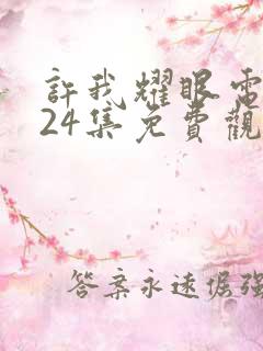 许我耀眼电视剧24集免费观看