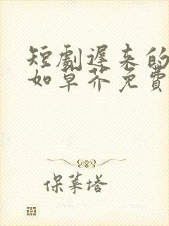 短剧迟来的深情如草芥免费观看