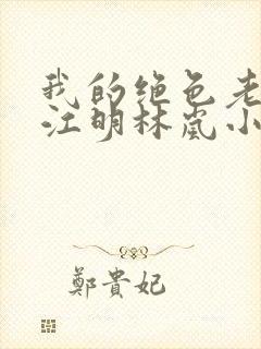 我的绝色老板娘江明林岚小说