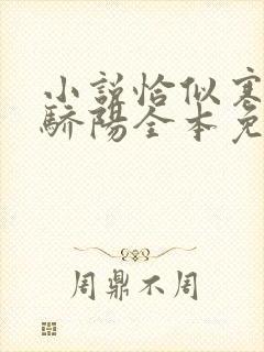 小说恰似寒光遇骄阳全本免费阅读