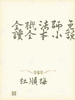 全职法师免费阅读全本小说