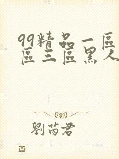 99精品一区二区三区黑人哦