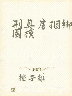 刑具房捆绑调教国模