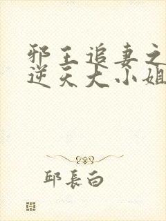 邪王追妻之废材逆天大小姐