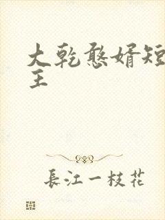 大乾憨婿短剧男主