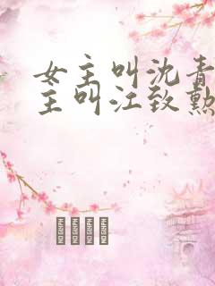 女主叫沈青青男主叫江致勋的小说