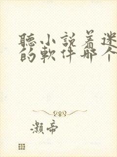 听小说着迷免费的软件哪个最好