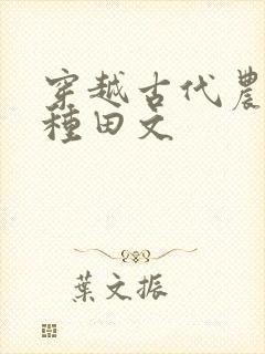 穿越古代农村的种田文