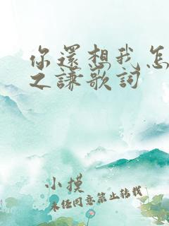 你还想我怎样薛之谦歌词