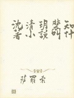 沈清玥裴知晏原著小说叫什么