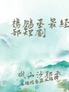 杨鹏丞最经典十部短剧