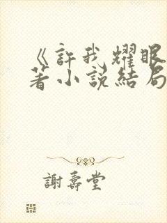 《许我耀眼》原著小说结局