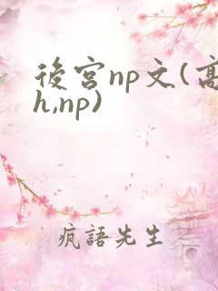 后宫np文(高h,np)