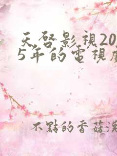 天启影视2025年的电视剧