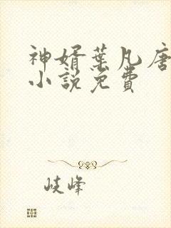 神婿叶凡唐若雪小说免费