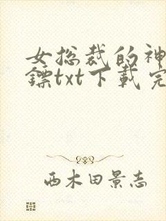 女总裁的神级保镖txt下载完本