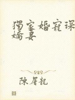 独家婚宠琛少的娇妻