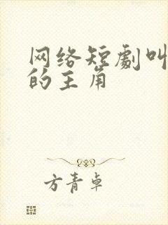 网络短剧叫叶凡的主角