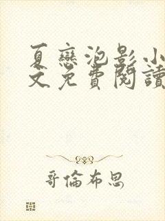 夏恋泡影小说全文免费阅读最新章节