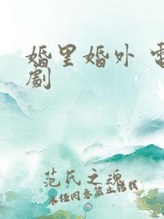 婚里婚外 电视剧