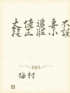 大佬追妻不择手段正版小说