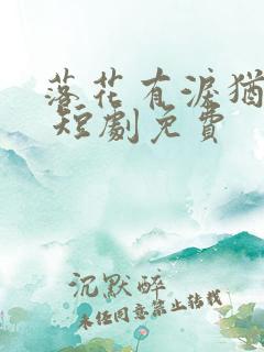 落花有泪犹带恨 短剧免费