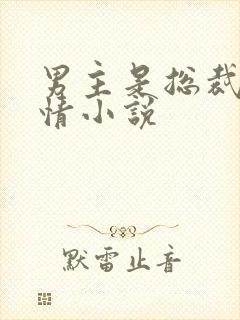 男主是总裁的言情小说