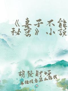 《妻子不能说的秘密》小说