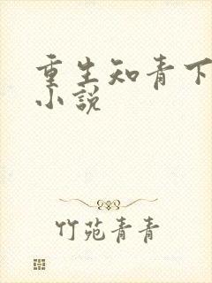 重生知青下乡的小说