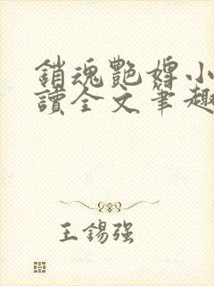 销魂艳婢小说阅读全文笔趣