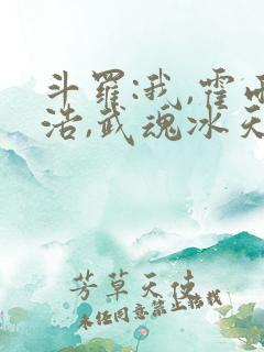 斗罗:我,霍雨浩,武魂冰天雪女武魂