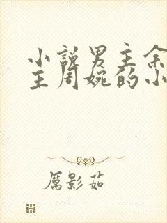 小说男主余年女主周婉的小说