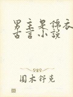 男主是锦衣卫的古言小说