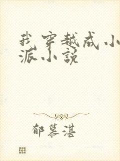 我穿越成小说反派小说