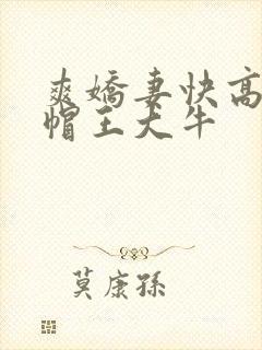 爽娇妻快高h绿帽王大牛