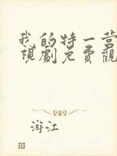 我的特一营 电视剧免费观看全集