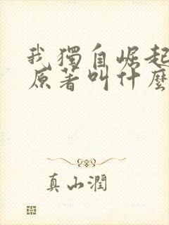 我独自崛起小说原著叫什么