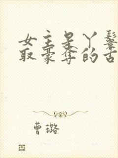 女主是丫鬟被强取豪夺的古言