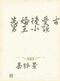 先婚后爱古耽双男主小说