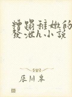 糟蹋稚嫩的身体发泄h小说