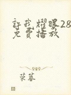 许我耀眼28集免费播放