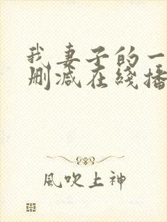 我妻子的一切未删减在线播放